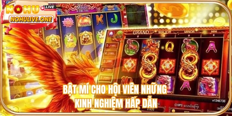 Bật mí cho hội viên những kinh nghiệm hấp dẫn